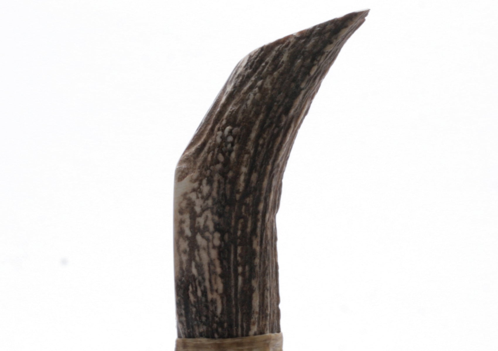 Transparent Obsidian Ulu Knife with Moose Deer Antler