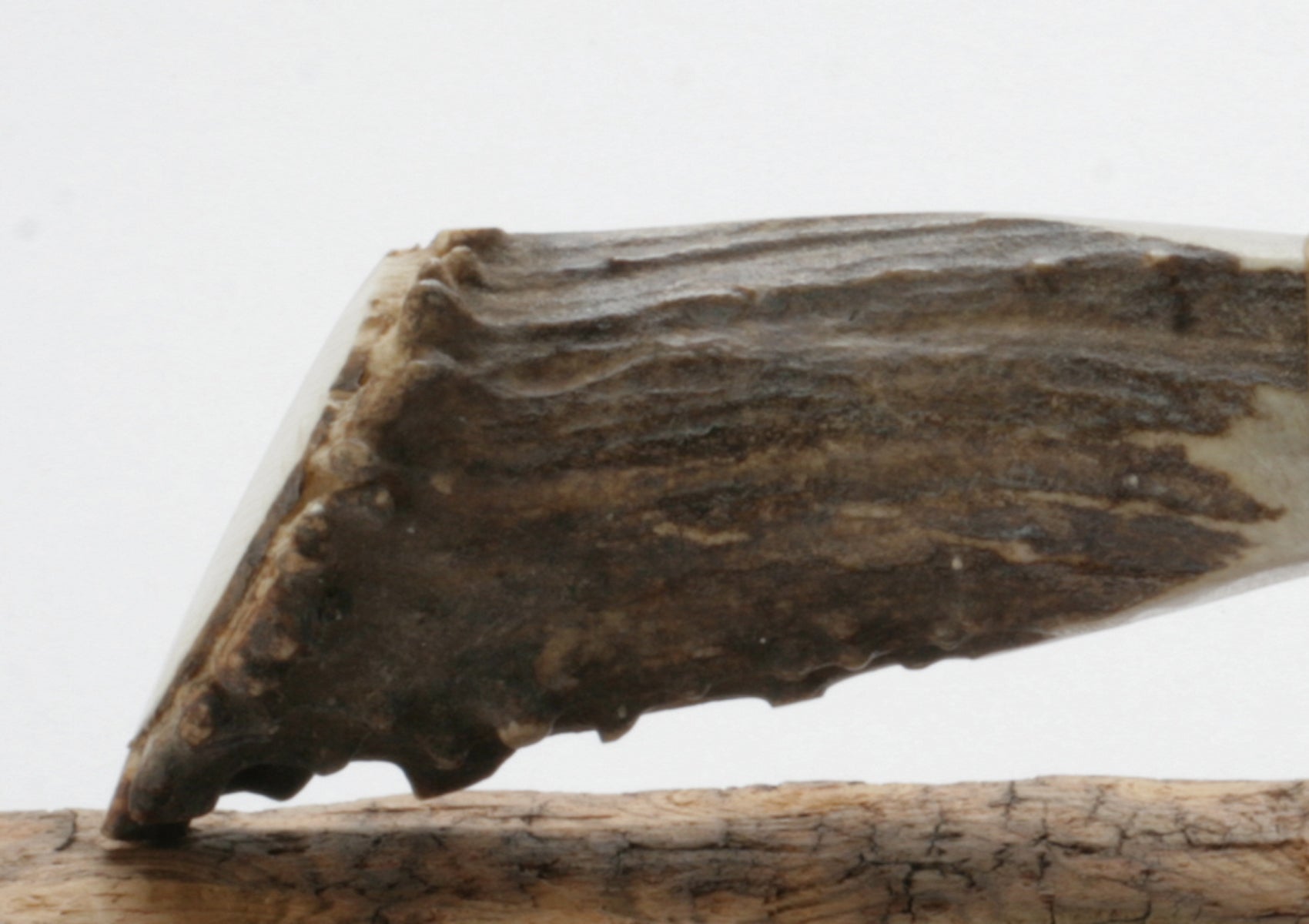 Smokey Rainbow Obsidian Knife with Deer Antler Handle