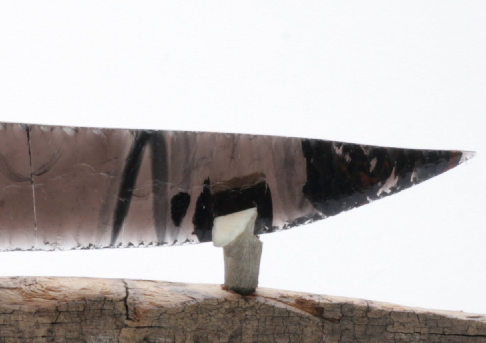 Tri color Translucent Obsidian Knife with Deer Jaw Handle