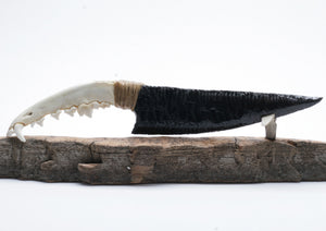 Brown Sheen Black Obsidian Knife with Coyote Jaw Handle