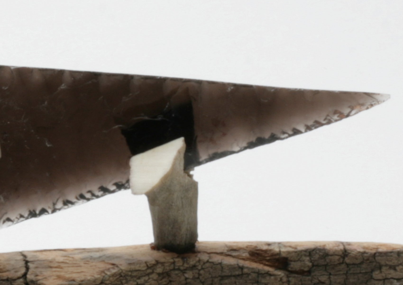 Transparent Obsidian Knife with Deer Antler Handle