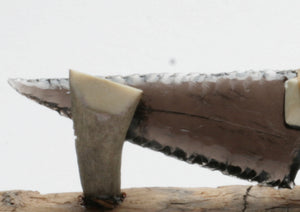 Transparent  Obsidian Knife with Deer Antler Handle