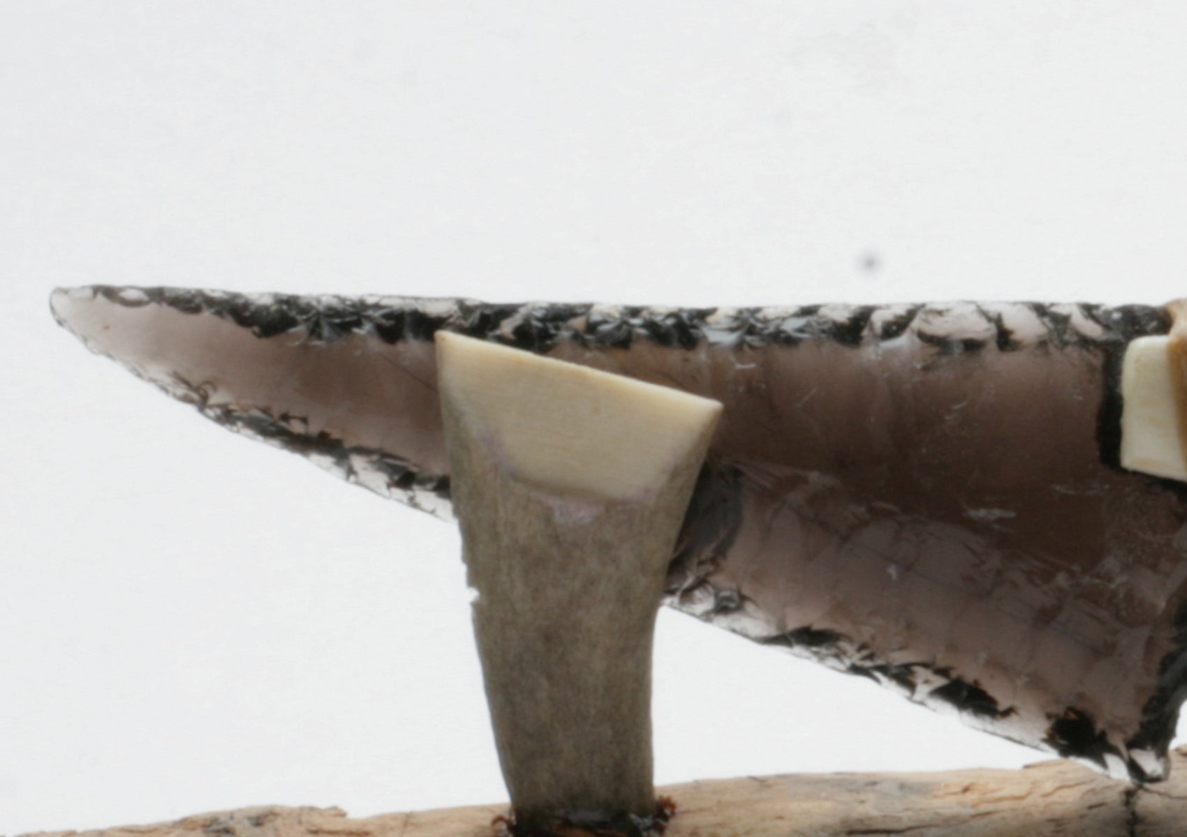 Transparent Obsidian Knife with Deer Antler Handle