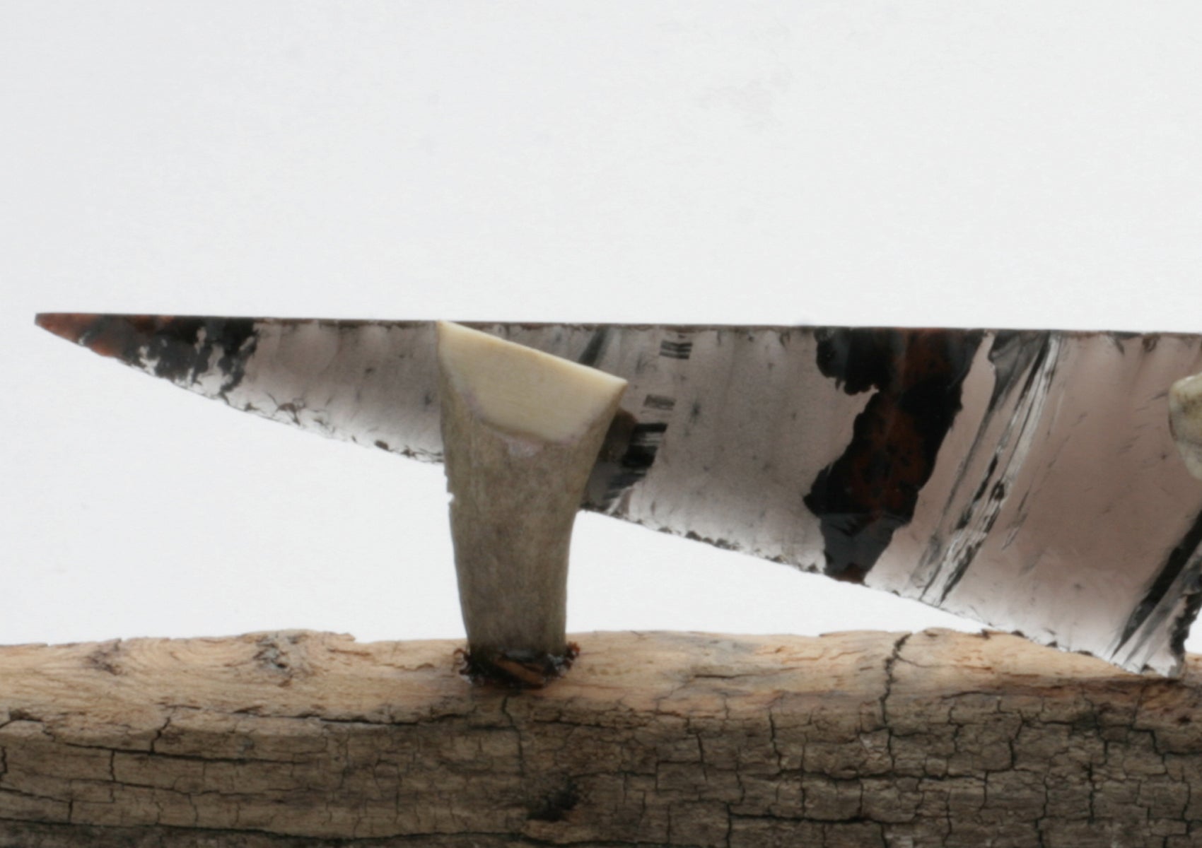 Tri Flow Transparent Obsidian Knife with Roe Deer Antler Handle