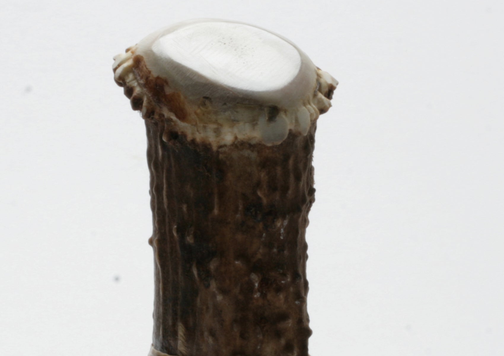 Transparent Obsidian Ulu with Deer Antler