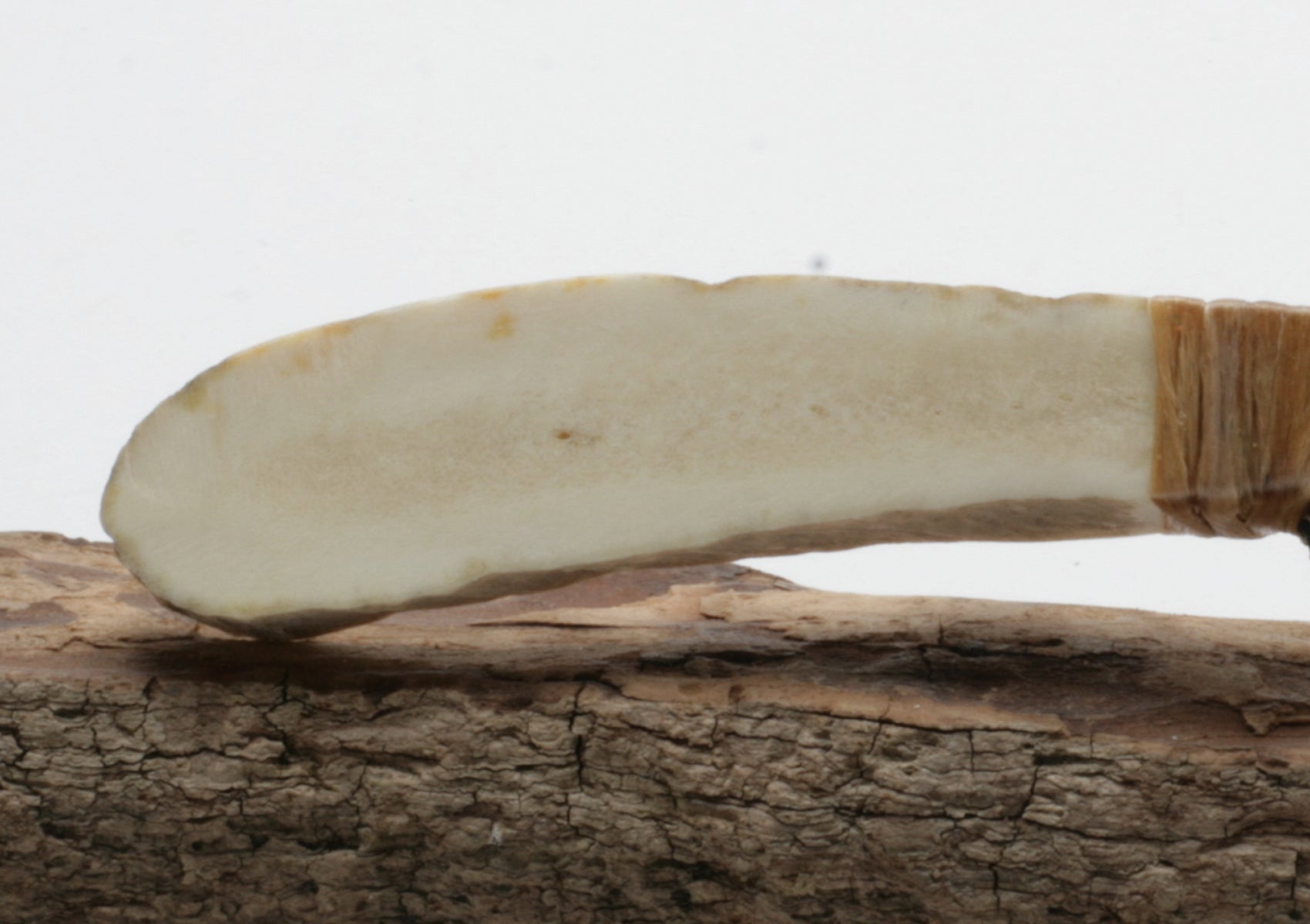 Translucent  Obsidian Knife with Moose Deer Antler Handle