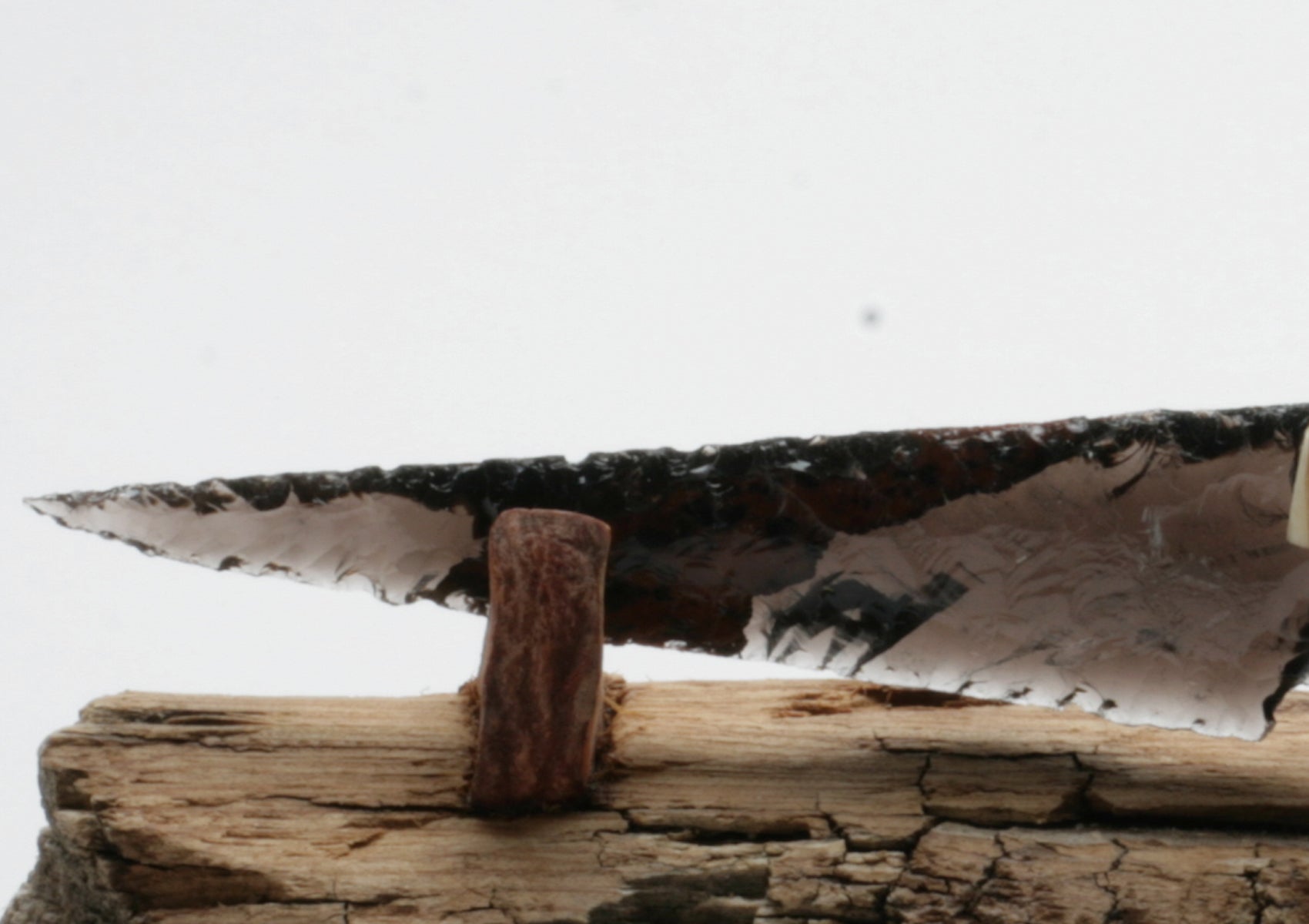 Tri Color Translucent Obsidian Knife with Roe Deer Antler Handle