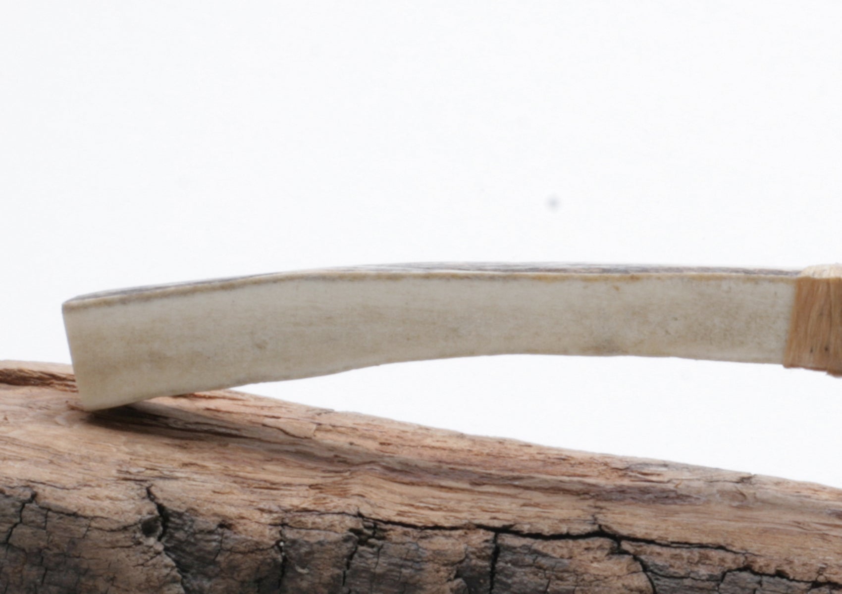 Transparent Obsidian Knife with Moose Deer Anter Handle