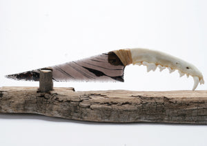 Tri Color Translucent Obsidian Knife with Coyote Jaw Handle