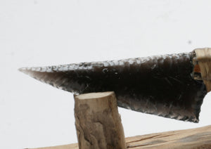 Blue Rainbow Obsidian Knife with Cholla Cactus handle