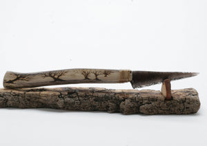 Translucent Obsidian Knife with Woodburned on Drift Wood