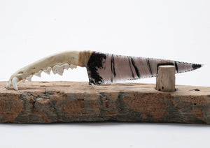 Tri Color Translucent Obsidian Knife with Coyote Jaw Handle