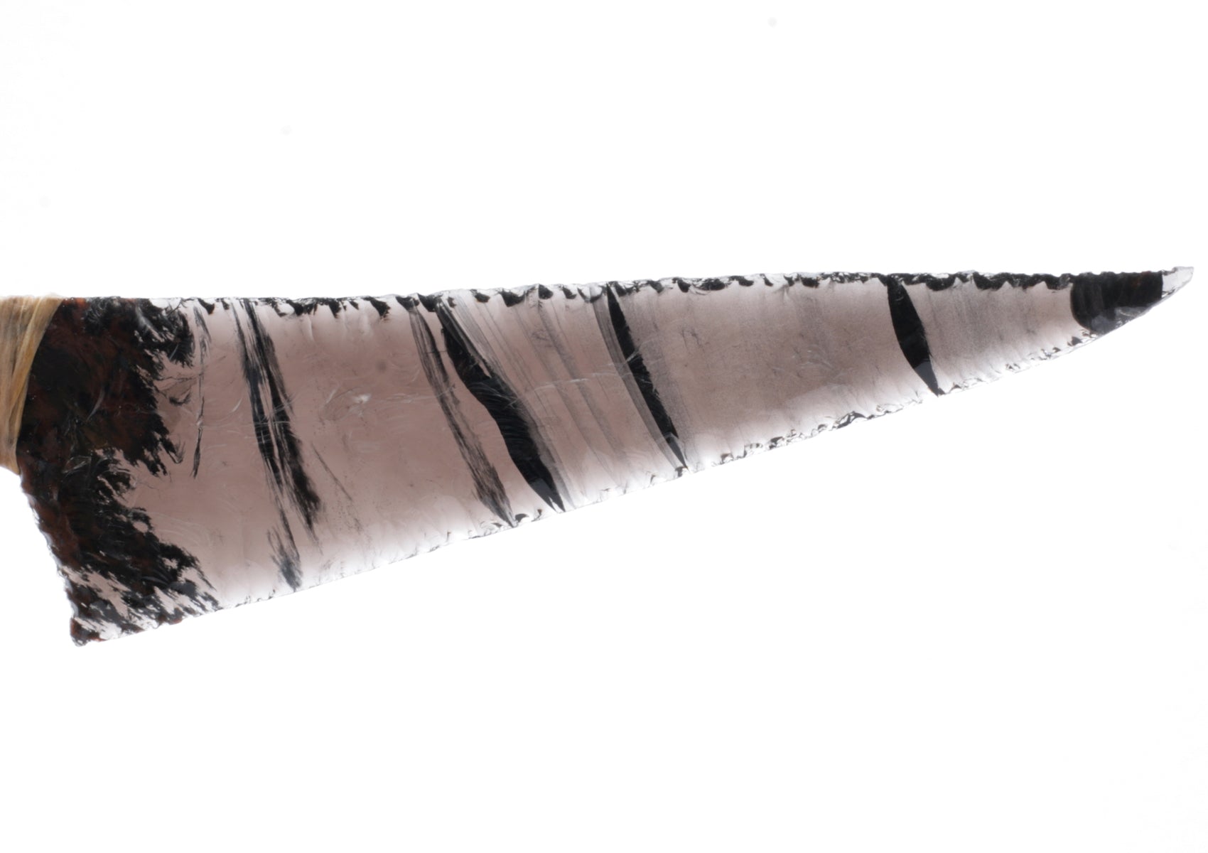 Tri Color Translucent Obsidian Knife with Coyote Jaw Handle