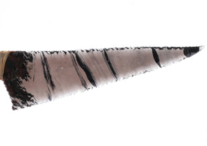 Tri Color Translucent Obsidian Knife with Coyote Jaw Handle