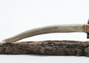 Transparent Obsidian Knife with Deer Antler Handle
