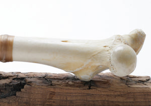 Tri Color Transparent Obsidian Knide with Deer Bone Handle