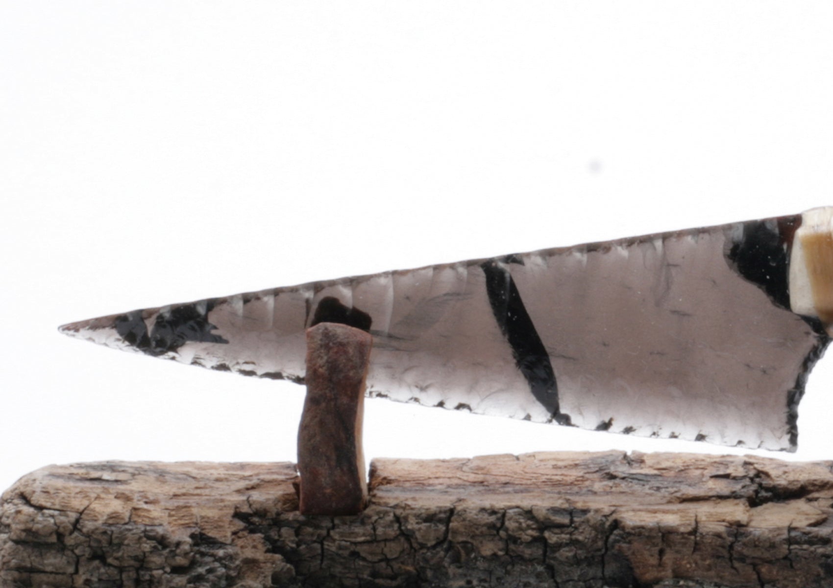 Black Lace Tansparent Obsidian Knife with Roe Deer Antler Handle