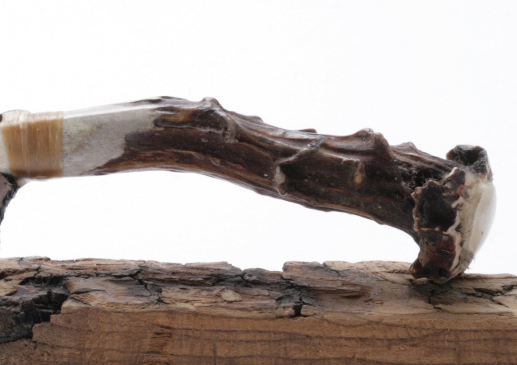 Black Lace Tansparent Obsidian Knife with Roe Deer Antler Handle