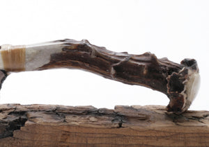 Black Lace Tansparent Obsidian Knife with Roe Deer Antler Handle