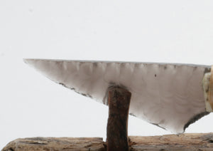 Translucent Obsidian Knife with Deer Antler Handle