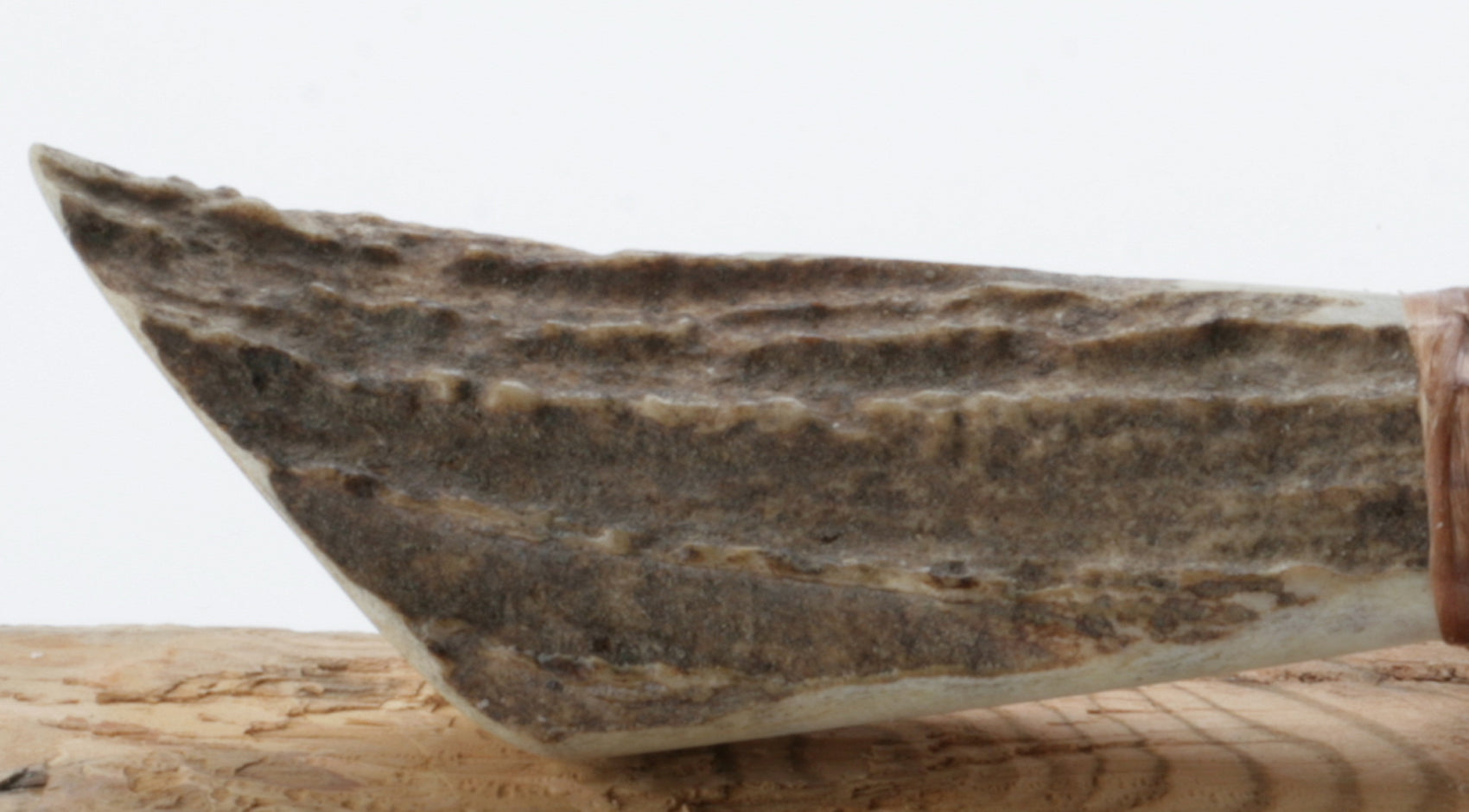Transparent Obsidian Knife with Moose Antler Handle