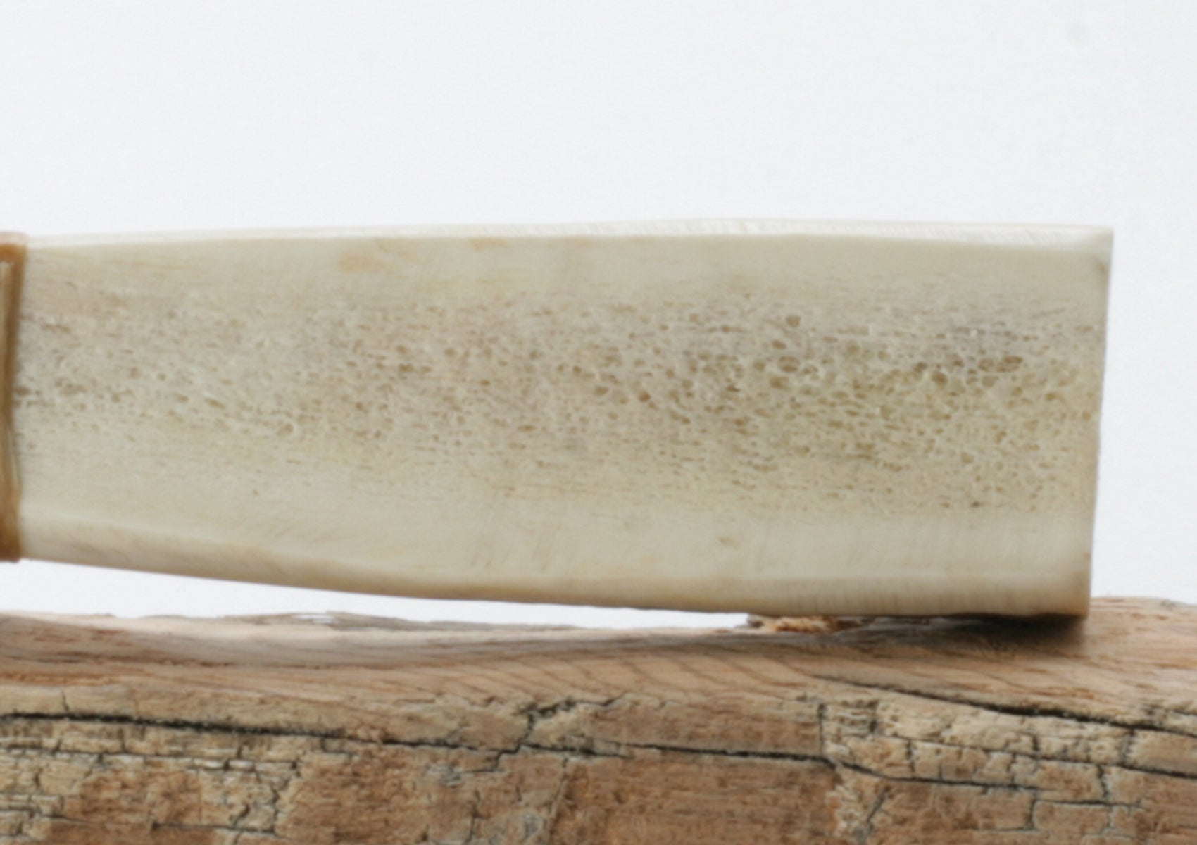 Transparent Obsidian Knife with Moose Deer Antler